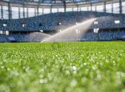 开云,体育,资讯,开云体育,开云体育官网,开云体育官方网站,KAIYUN体育