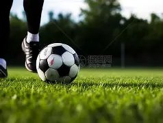 探寻,盲界绿茵,之光,开云体育,开云体育官网,开云体育官方网站,KAIYUN体育