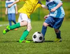 泰山队被鲁,媒指出,体系不全,开云体育,开云体育官网,开云体育官方网站,KAIYUN体育