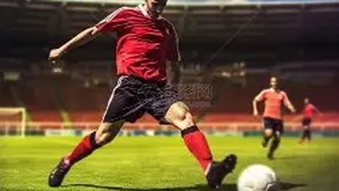 开云APP体育 资讯 100650 ytx