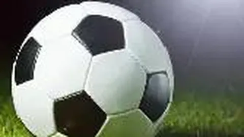 开云APP体育 资讯 102548 ozp