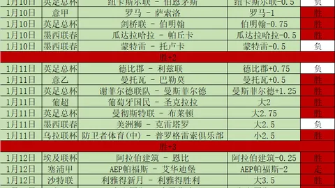 “第十二届世界运动会2025年将在成都举行——中新网提前曝光”