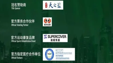 足球魅力：超越视觉，彰显毅力和奋斗精神